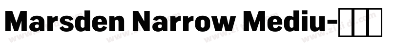 Marsden Narrow Mediu字体转换 Marsden Narrow Mediu字体转换